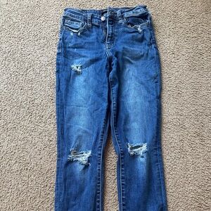 VERVET Denim: size 27 skinny jeans